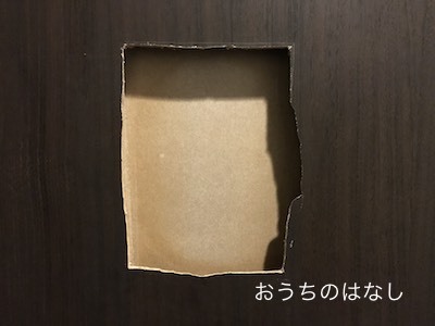 洗面所にあいた穴の修復。_e0336231_20482099.jpg