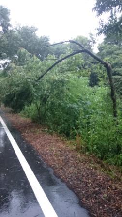 台風５号　余り暴れるな_e0166734_19115309.jpg