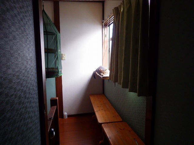 a0337237_13065299.jpg