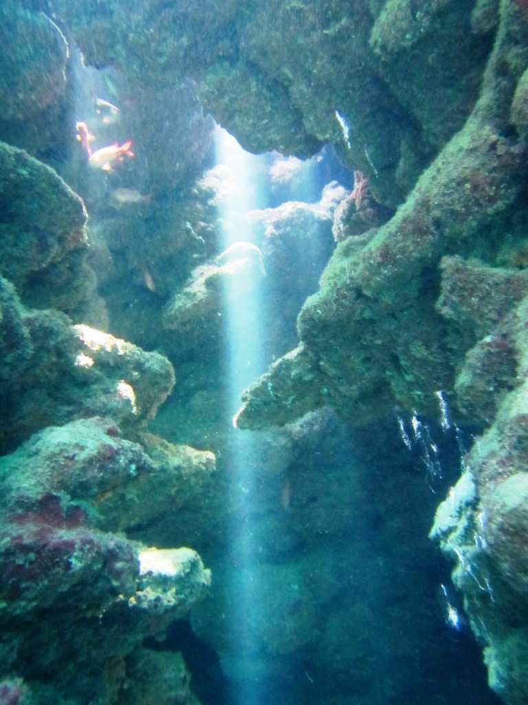 a0189838_07245235.jpg