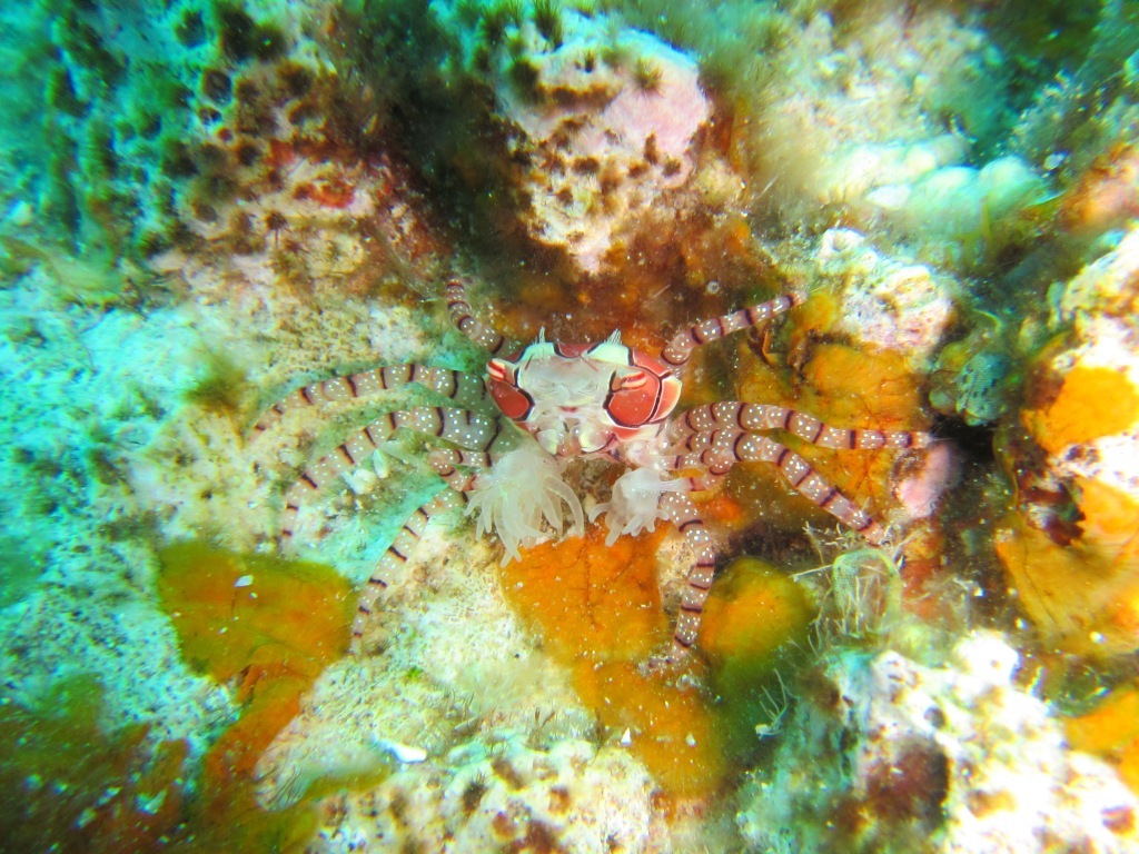 a0189838_07253994.jpg