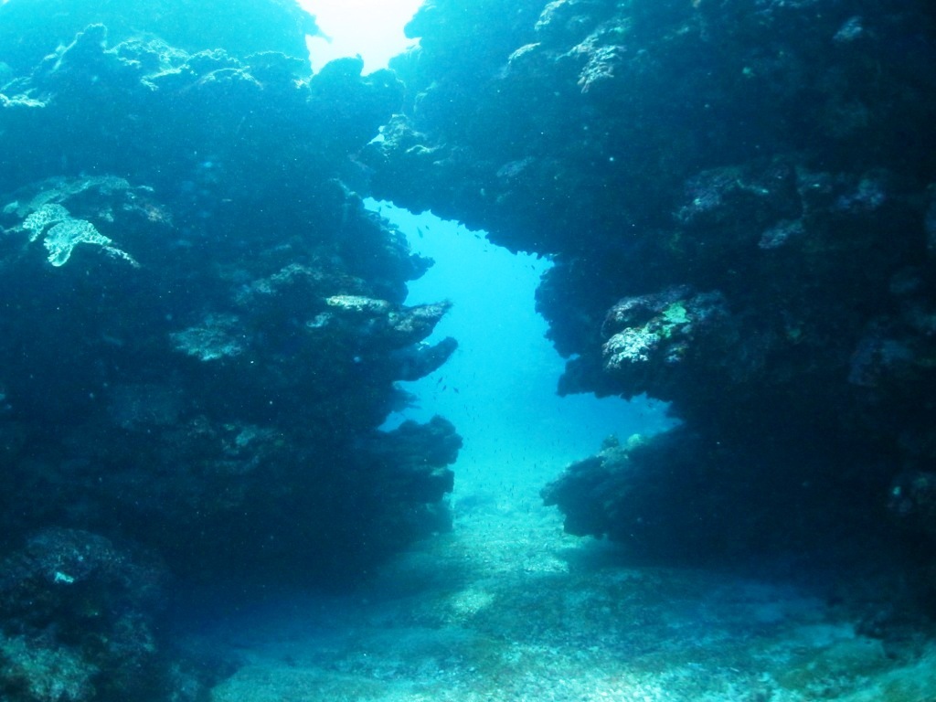 a0189838_07263103.jpg