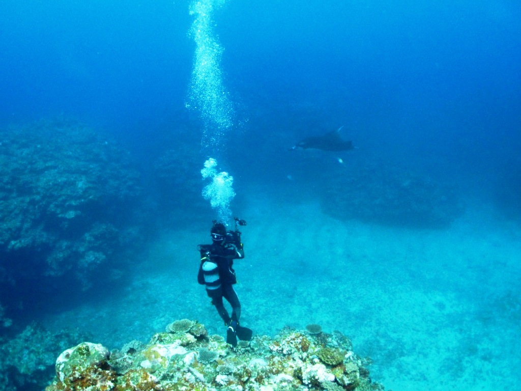 a0189838_07281187.jpg