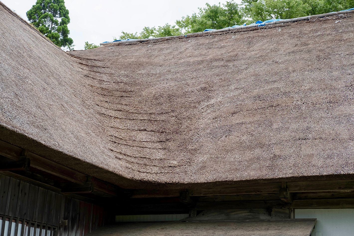 【国指定重要文化財|大山家住宅】 行き方、見学のしかた (秋田県 三種町)_b0212342_17280463.jpg