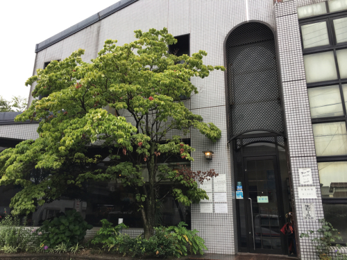 アマンド_e0292546_19382474.jpg