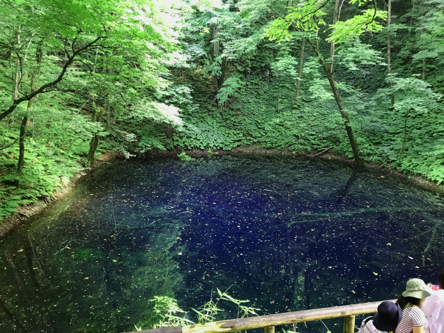 c0006748_17113214.jpg
