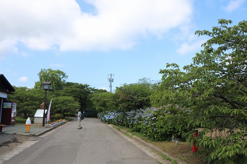 8月6日　松前公園にて　１_b0250154_20314276.jpg