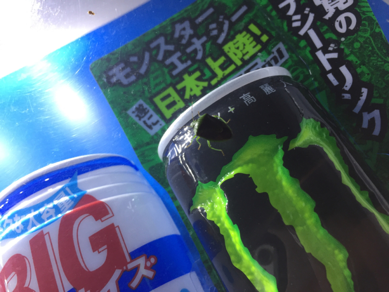 【 笑 】キャッチコピーカエル_b0008655_00461356.jpg