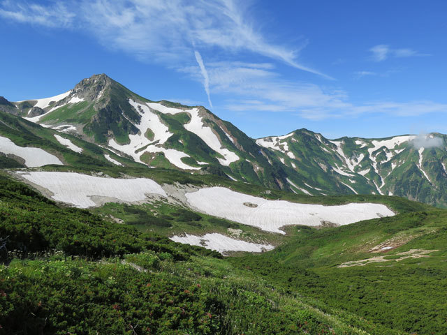 2017年8月4日～5日　朝日岳・雪倉岳周回（２日目：朝日小屋～雪倉岳～蓮華温泉）_c0116856_19530314.jpg