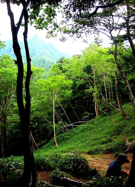 ＜2017年７月＞「皇海山」(足尾山地の日本百名山）を登る_c0119160_20393214.jpg