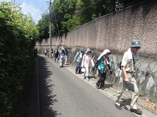 京の六地蔵めぐり④鞍馬口地蔵（上善寺）_b0044663_15021551.jpg