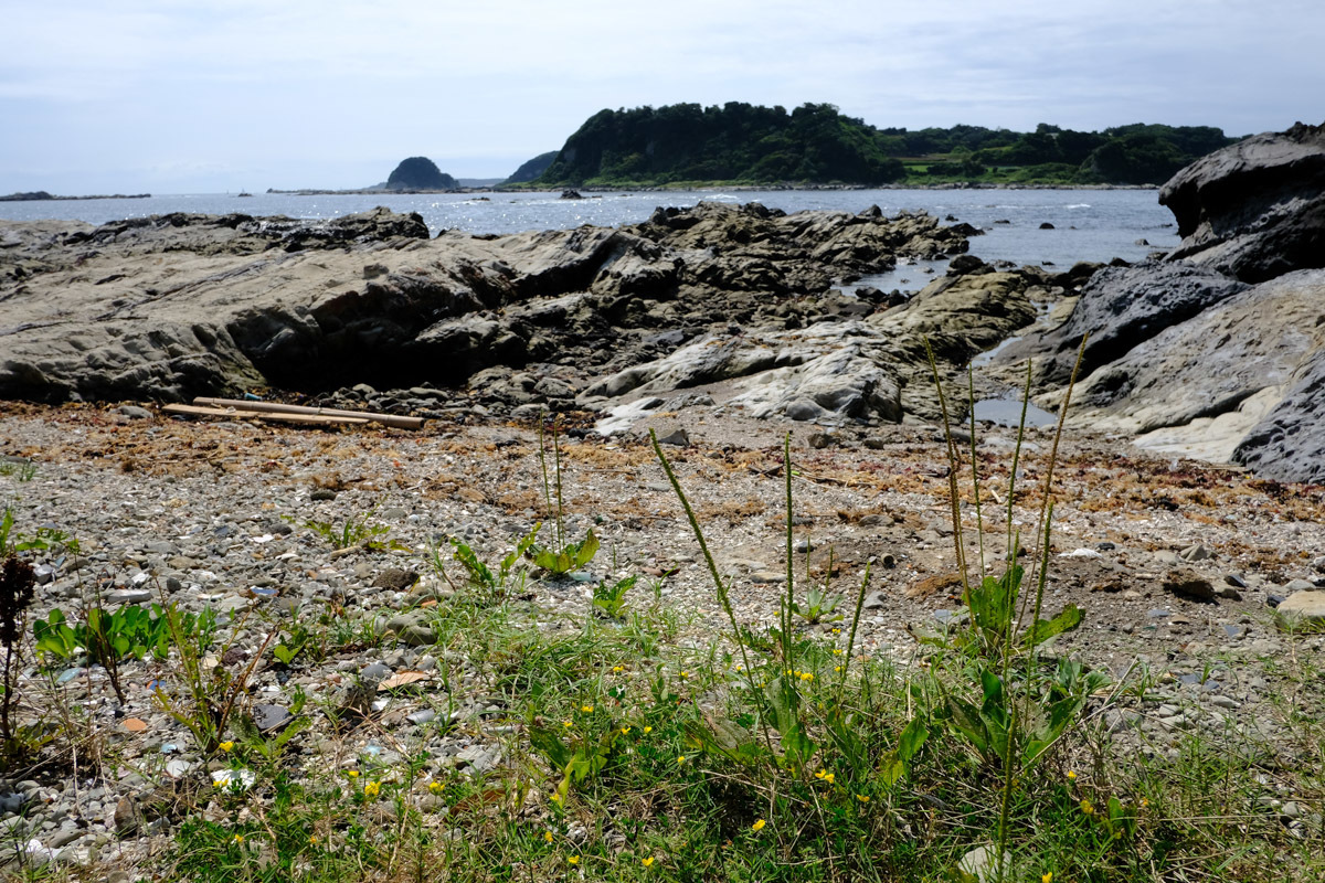 三浦半島、波しずか～Ⅶ_c0084666_20475305.jpg