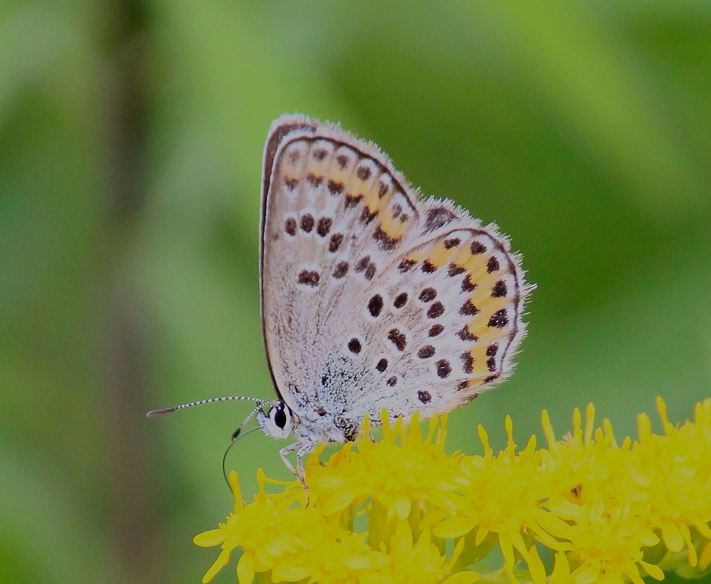 b0320769_08410856.jpg