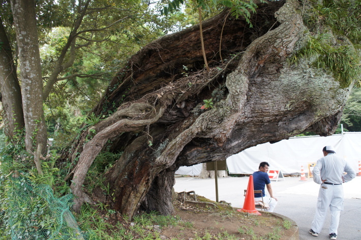 2013/8/4【消えた心霊スポット】鹿島心霊ツアーの形をした何か!(古写真追加)【鹿島神宮、犬吠埼、屏風ヶ浦】_b0116271_16584776.jpg
