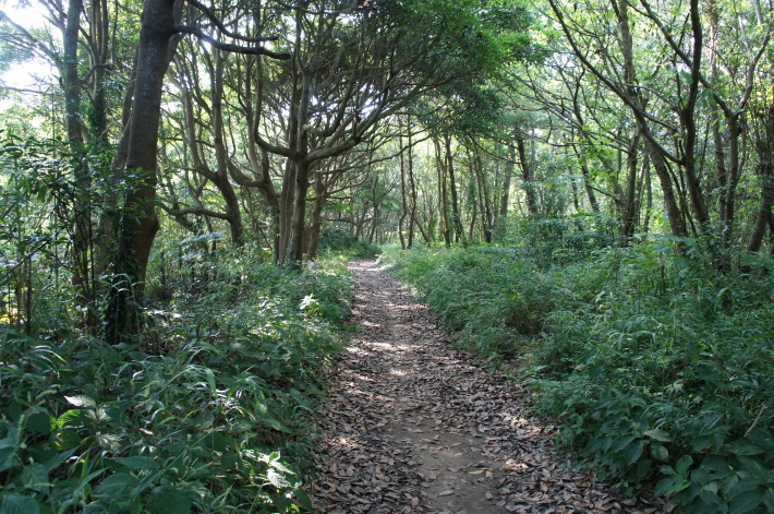 2013/8/4【消えた心霊スポット】鹿島心霊ツアーの形をした何か!(古写真追加)【鹿島神宮、犬吠埼、屏風ヶ浦】_b0116271_17112111.jpg