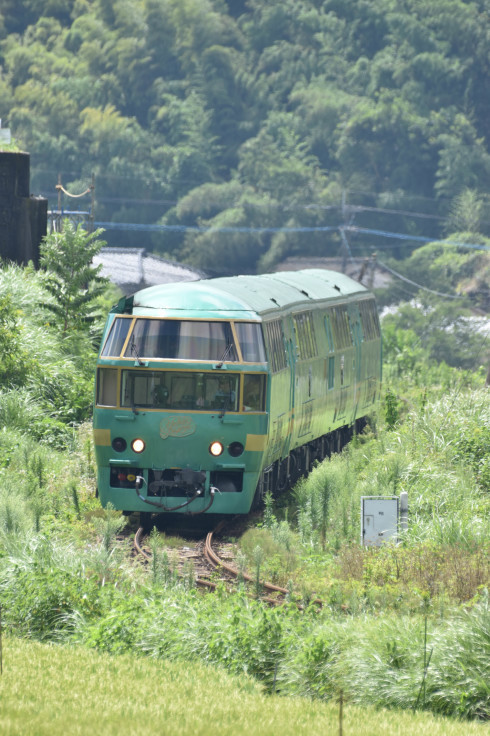 JR九州　ゆふいんの森号　その２_b0105773_17021153.jpg