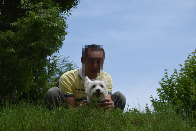b0242873_00244750.png