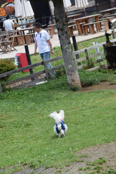 b0242873_00364406.png