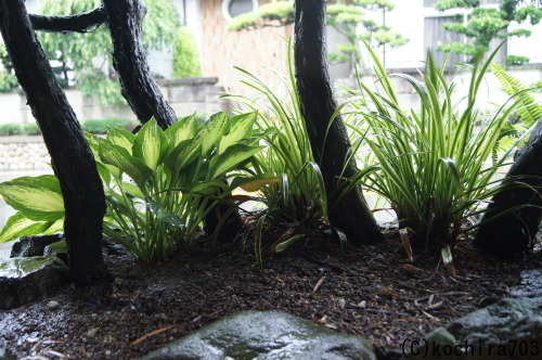 e0181373_20131313.jpg