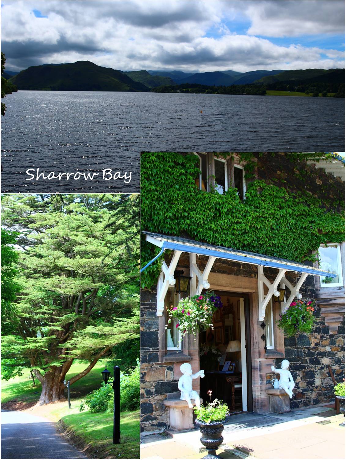 湖水地方の甘いもの Sharrow Bay_a0107981_9441566.jpg