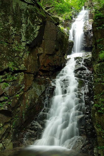c0324983_23532246.jpg