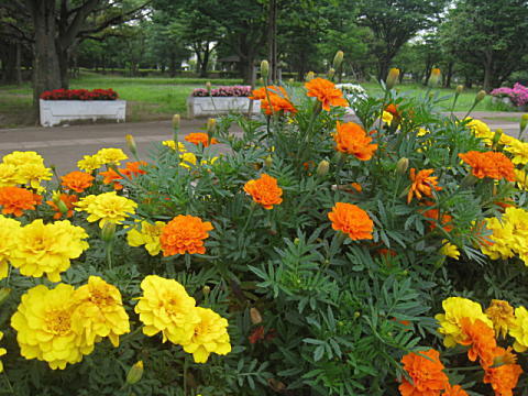 d0046702_07342095.jpg