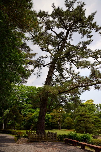 f0373905_15274235.jpg