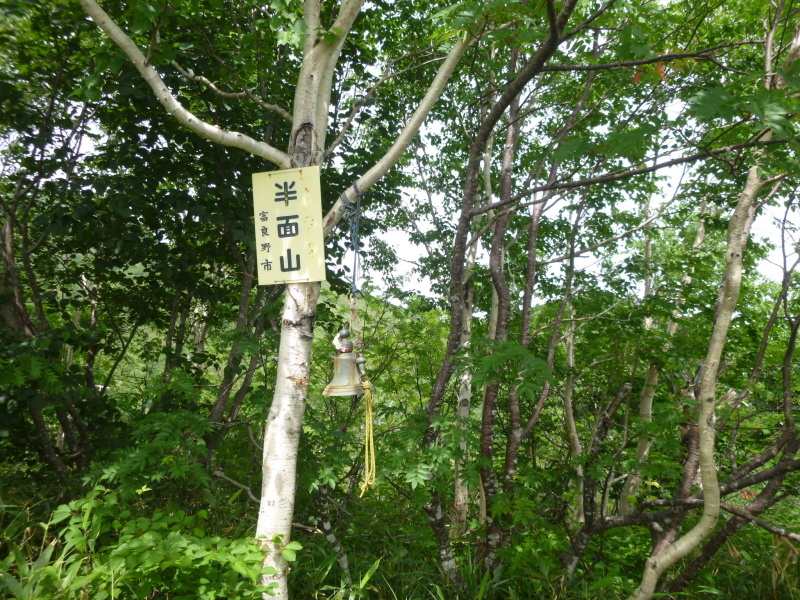 d0170615_11531602.jpg