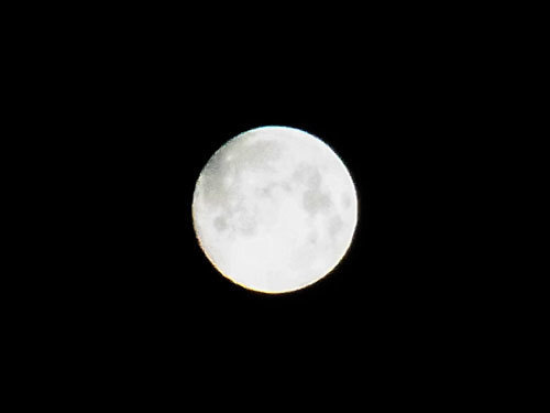 a0214919_11174981.jpg