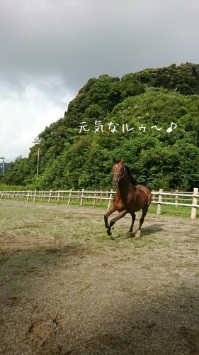 b0187620_20270139.jpg