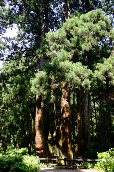 a0000029_1022895.jpg