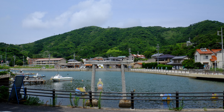 「ここは日本!?? 西ノ島の摩天崖へ行ってきました」_a0000029_1672481.jpg