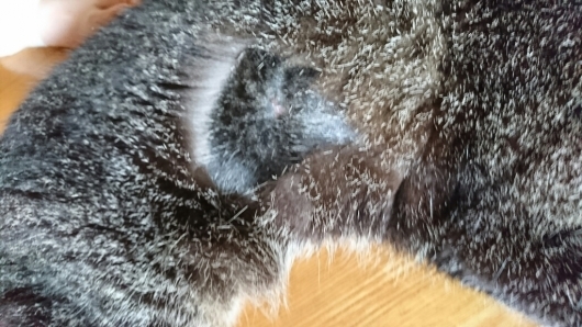 b0138430_20003903.jpg
