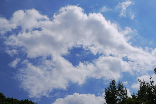 a0354432_14441712.jpg