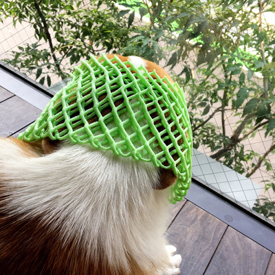 ちょうどいいのみぃつけた_f0035333_16254429.jpg
