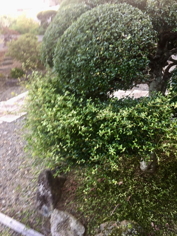 c0225536_04202089.jpg