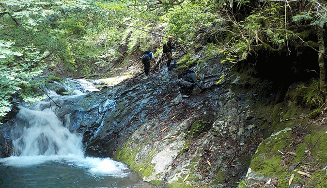 e0371039_1593466.gif