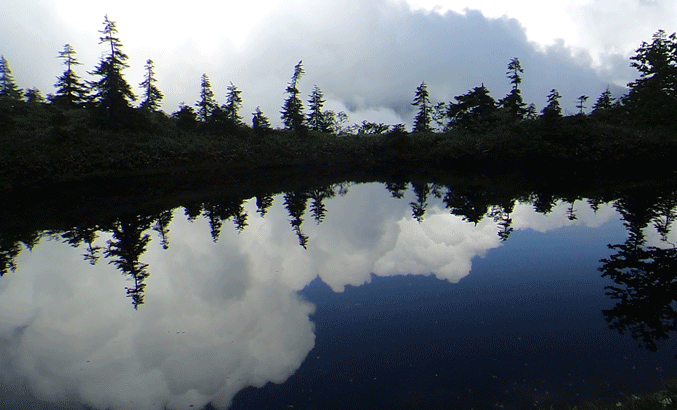 e0371039_848488.gif