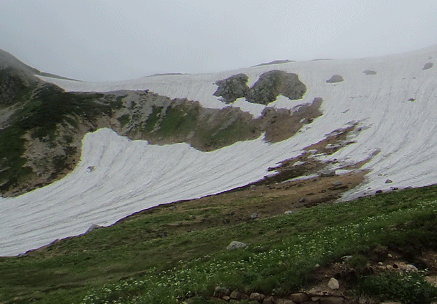 e0371039_8512142.gif