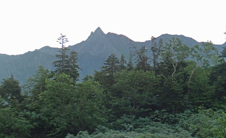 e0371039_851391.gif