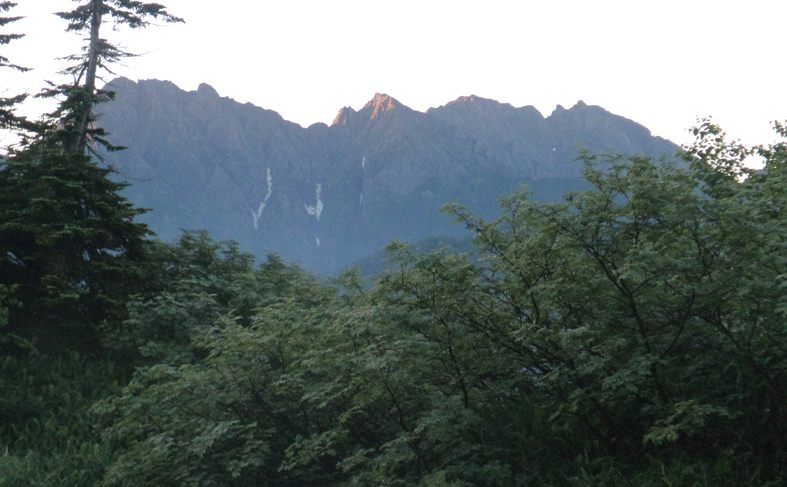 e0371039_8514731.gif