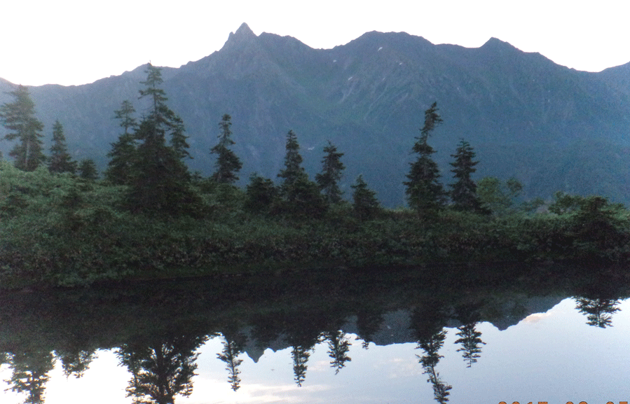 e0371039_8515540.gif