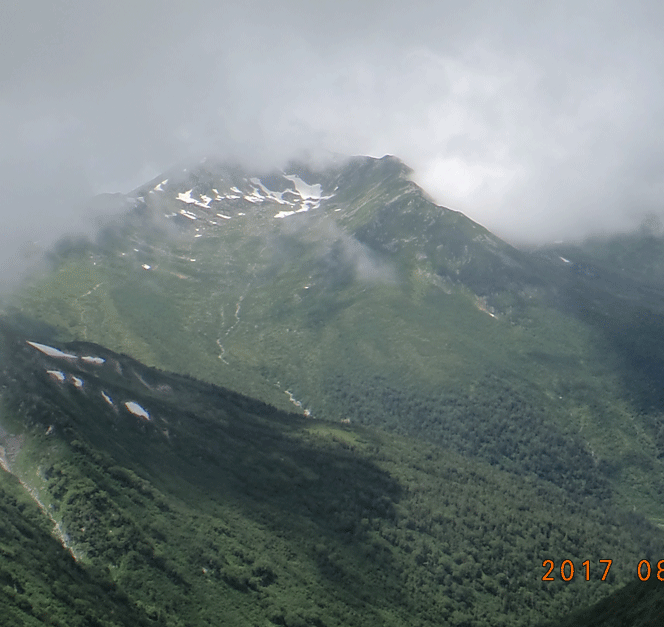 e0371039_8523072.gif