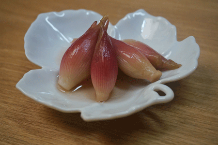 茗荷_a0221044_01270544.gif