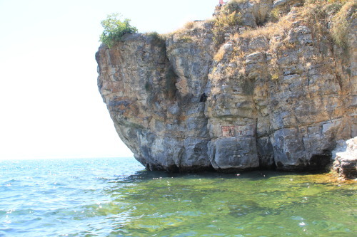 c0011649_14331060.jpg