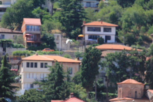 c0011649_14430944.jpg