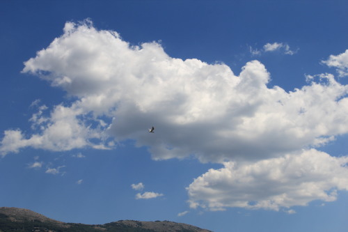 c0011649_14450806.jpg
