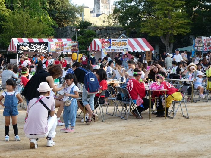 　　８年前の 紀州よさこい祭りです　　２０２５-０５-２７　００：００_b0093754_23185915.jpg