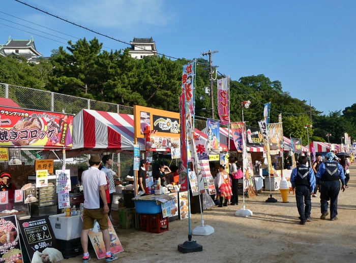 　　８年前の 紀州よさこい祭りです　　２０２５-０５-２７　００：００_b0093754_23195021.jpg