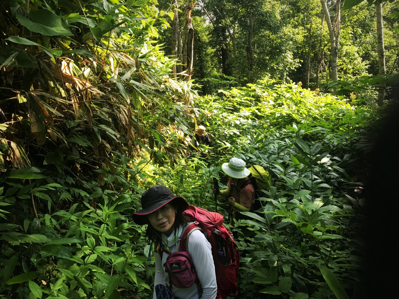 ☆2017.8.7 小樽天狗山→於古発山→遠藤山→塩谷丸山_e0105954_14302690.jpg